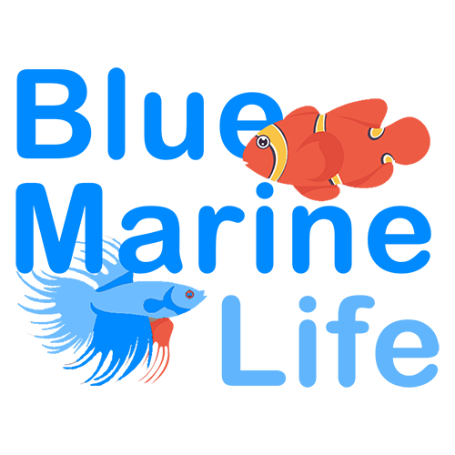 Blue Marine Life